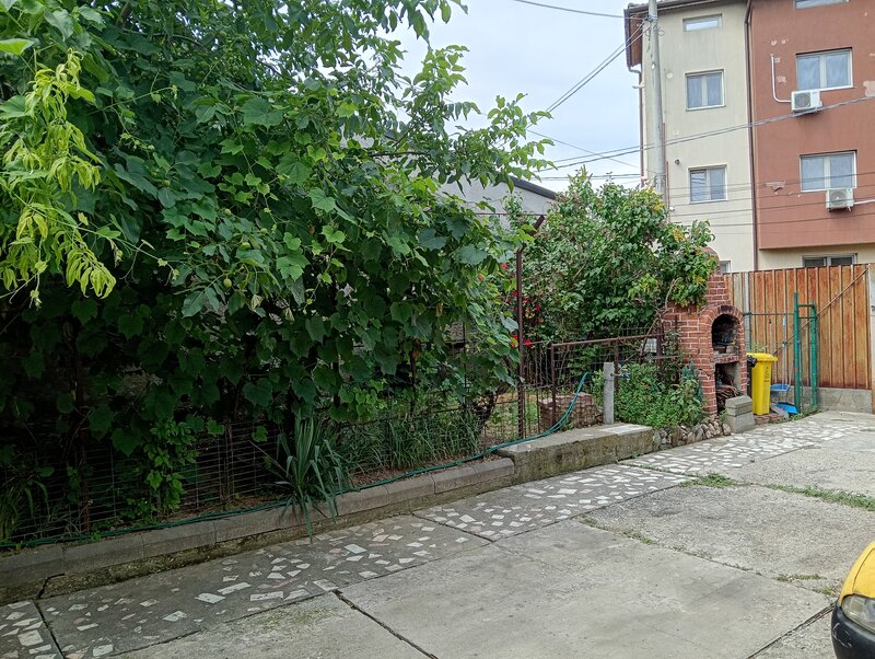 Tei, Lacul Plumbuita, sector 2,