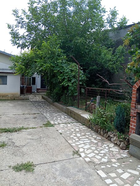 Tei, Lacul Plumbuita, sector 2,